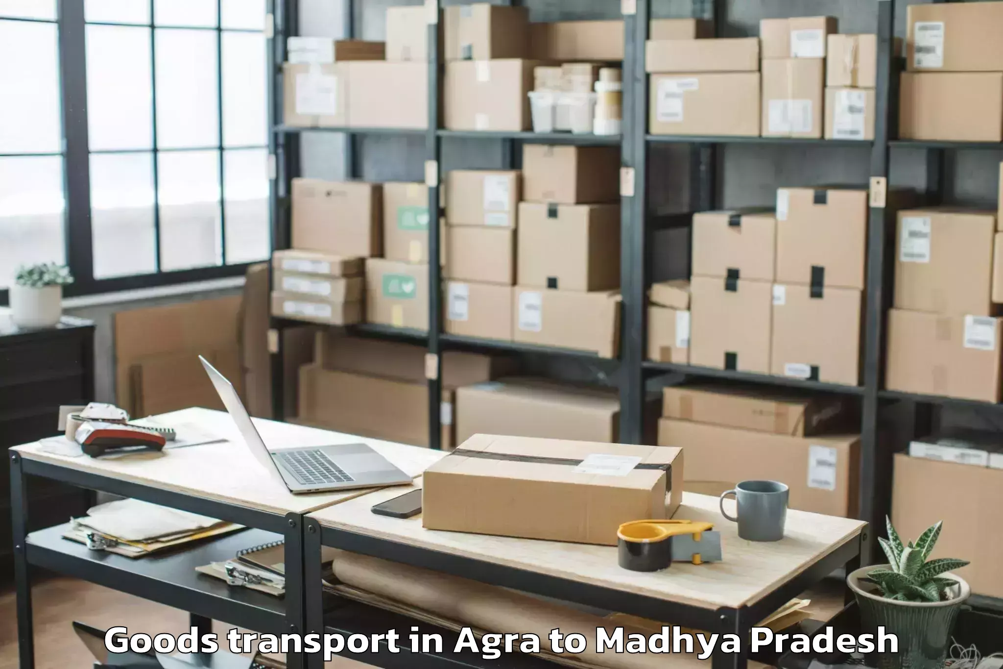 Easy Agra to Piploda Goods Transport Booking